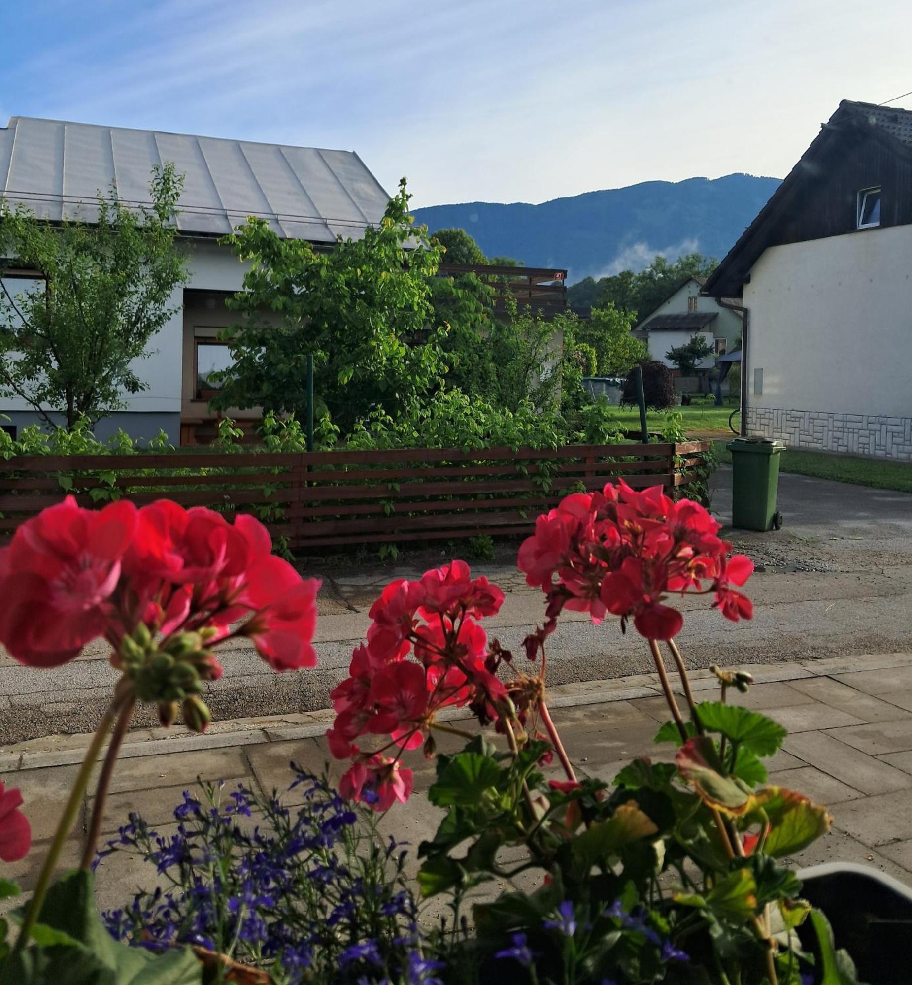 Apartment Bellart With Sauna Radovljica Exterior photo